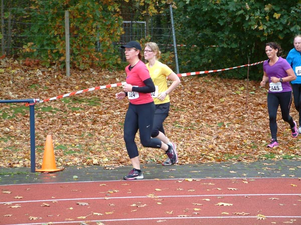 2013_1027_132154