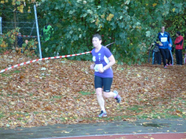 2013_1027_141130
