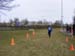 2013_0324_023608
